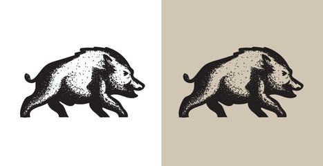 Hand-drawn Wild Boar vector illustrations. Wild Boar vintage mascot design. Retro illustration of a wild boar.