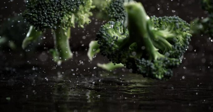 Super slow motion macro of fresh ripe organic broccoli cabbage bunches falling with splashing water drops on rustic wooden table in kitchen of restaurant.