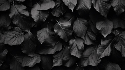 black leaves background. Generative AI.
