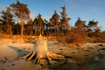 Wybrzeże Morza Bałtyckiego w Słowińskim Parku Narodowym, Czołpino, Polska