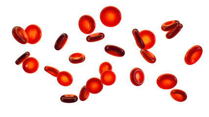Group of red blood cells isolated. Blood cells (erythrocytes) carry oxygen to all body tissues. - 684730237