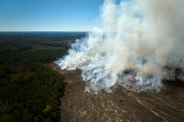 Aerial view of white smoke from forest fire rising up polluting atmosphere. Natural disaster concept