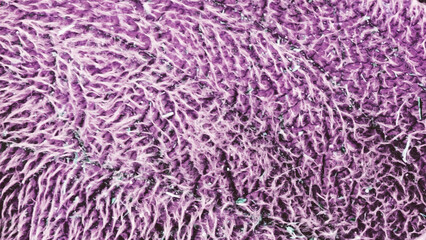 Background with weird texture in pruple