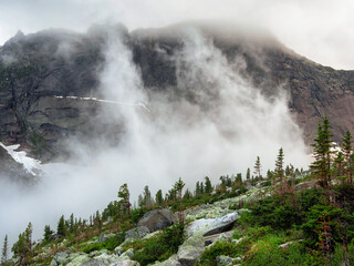 Cloudy mountain top steep thin forest. Mountains in the grey clo