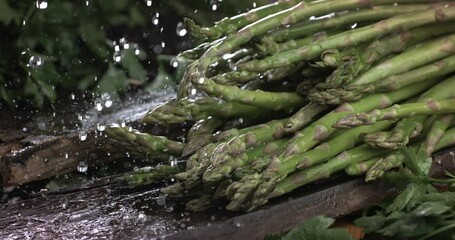 Super slow motion macro of splashing water drops are falling on fresh ripe organic asparagus and parsley composition on wooden cut board in kitchen of restaurant. - Powered by Adobe