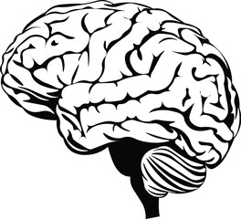 Cartoon Black and White Isolated Illustration Vector Of A Human Brain