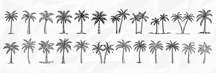 Bundle mit vielen monochromen Lineart-Zeichnungen von Palmen