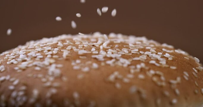 Super slow motion macro of sesame grains falling on fresh soft just prepared homemade burger bun in artisan bakery.