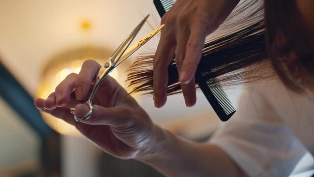 Closeup - Professional stylist cutting woman's hair in salon, Hairdresser trimming black hair with scissors.