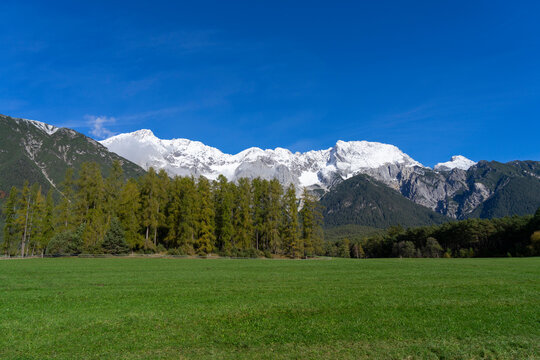 Alpine landscape with green meadows and snowcovered mountains in the background