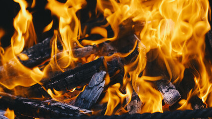 Charred wood in the fire. Close-up of a fire flame and black coals. Burning wood in a brazier for cooking.