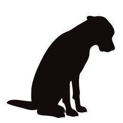 Vector silhouette of Great Dane on white background. Symbol of pet and breed.