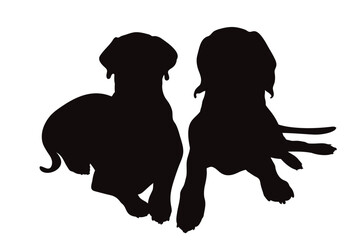 Vector silhouette of couple of dogs on white background. Symbol of pet and friendship.