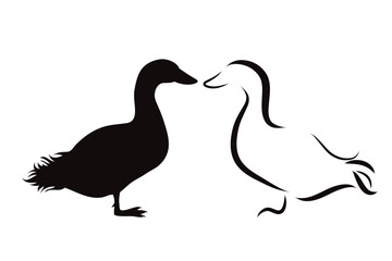 Fototapeta premium Couple of vector illustrations of goose on white background. Symbol of farm and breeding.