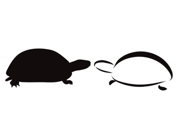 Couple of vector illustrations of land turtle on white background. Symbol of wild and ocean.