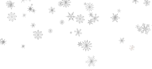 Snowflakes Falling On Snow - Winter Banner