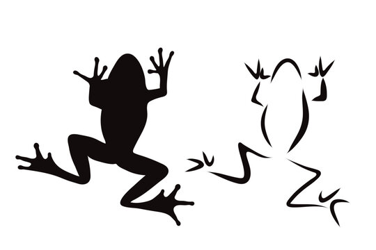 Couple of vector illustrations of frog on white background. Symbol of wild and nature.