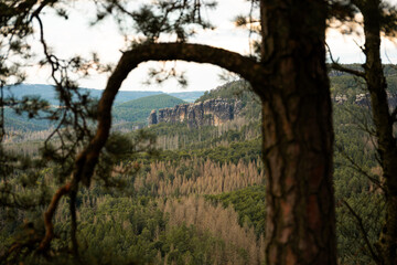 Landschaft in der Sächsischen Schweiz Nationalpark in Sachsen Deutschland
