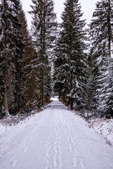 Erste Winterwanderung durch den verschneiten Thüringer Wald am Bahnhof Rennsteig - Thüringen - Deutschland