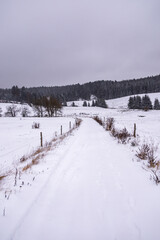 Erste Winterwanderung durch den verschneiten Thüringer Wald am Bahnhof Rennsteig - Thüringen -...