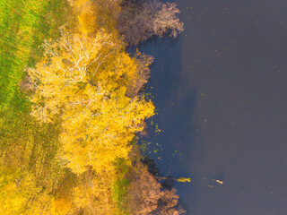 Aerial view of beautiful smooth green waters of a lake on a sunny autumn day. Bird's eye view of scenic emerald lake surrounded by forests. Clouds reflecting in the water, golden foliage in fall.