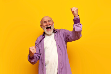 old bald grandfather in purple shirt celebrates victory with his mouth open on yellow isolated background - obrazy, fototapety, plakaty