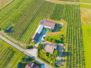 Crop sprayer traktor spraying pesticide or herbicides field. Wind turbines on background. Modern agriculture. Leasing of tractors and agricultural machinery