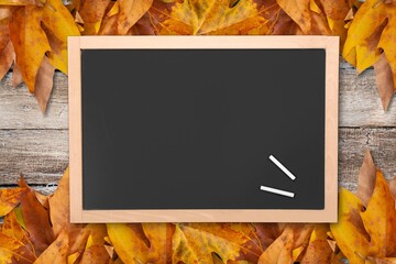 Blank school board with autumn leaf