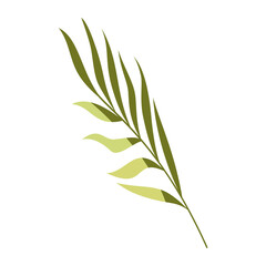 Tree Branch Illustration