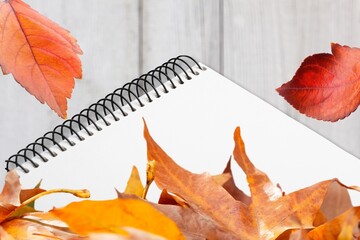 Blank school notebook with autumn leaf