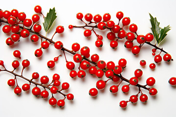 A branch with red berries and leaves on it