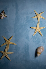 Fototapeta na wymiar Estrellas de mar y caracoles en fondo marino vertical. Textura de mar con copy space. verano. 