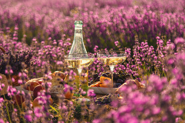 Picnic with wine in a lavender field. Selective focus.