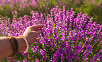 Woman in a lavender field. Selective focus.