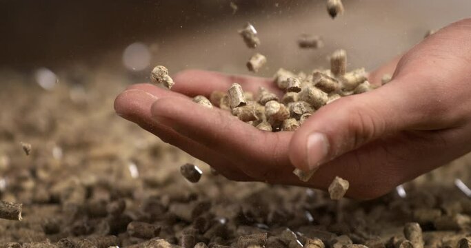 wood heating; falling wood pellets against black background. slow-motion  about small pieces of compress wood and renewable energy sources for warm houses and hot water at home.