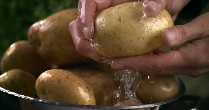 Super slow motion macro of splashing water drops are falling on fresh ripe organic potatoes while being washed by chef in colander in kitchen of restaurant before be cooked.