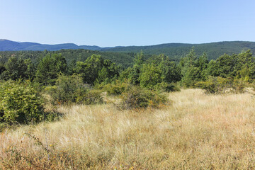 Fototapeta na wymiar Landscape of Rudina mountain, Bulgaria