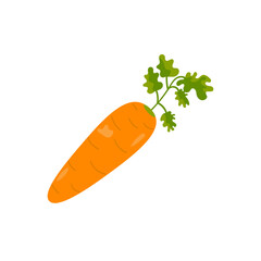 Carrot isolated on white background, vector illustration, flat style