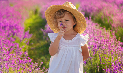 Child in a lavender field. Selective focus.