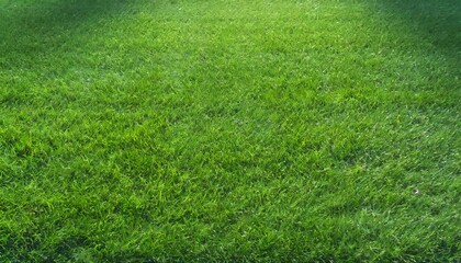 green grass texture for sport background detailed pattern of green soccer field or football field...