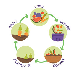 Ecological process concept. Eductaional materials and infographics. Food, scrambs, compost,, fertilizer and grow steps. Cartoon flat vector illustration isolated on white background