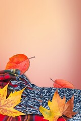 Enchanting fall concept. autumn leaves and scarf