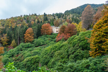 Scenic fall season sight in the Oasi Zegna. Province of Biella, Piedmont, Italy. - obrazy, fototapety, plakaty