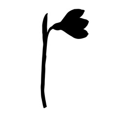 Silhouette of a spring snowdrop flower. Vector graphics.