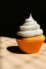 Fun and colorful cupcakes with swiss meringue on top and fun background