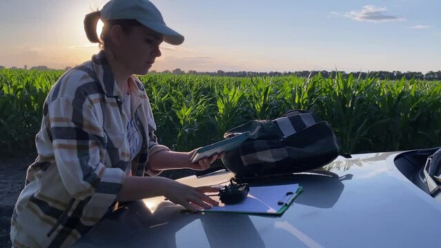 Young female agronomist using a digital tablet, prepares for field research on a car hood at golden hour sunset. Cornfield farming, rural life. Woman farmer working at crop plantation outdoors