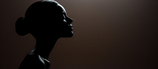  a black silhouette of a woman's head with a bird on top of her head, against a brown background.