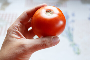 Woman hand is holding red tomato