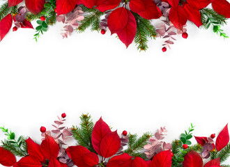 Christmas decoration. Flowers of red poinsettia, branch christmas tree, red berries on white background with space for text. Top view, flat lay