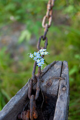 flower on tree chain